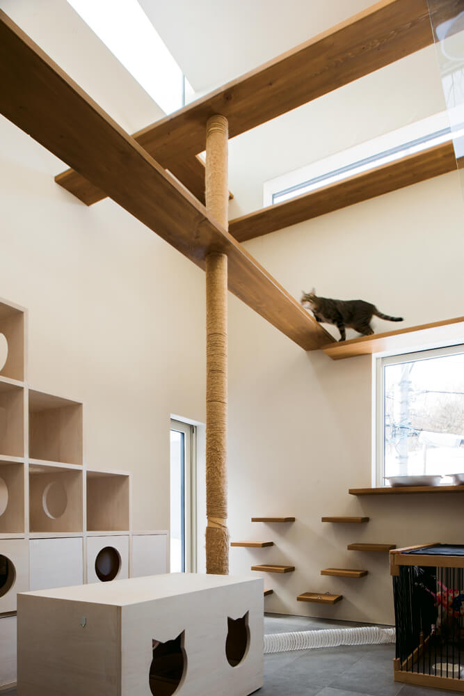 猫の部屋には、麻紐を巻いた爪とぎ柱と多種多様なキャットウォーク、観察窓と物見台、主寝室への階段と寝床を兼ねた収納などを造作。猫型の穴が開いた台の中には、トイレを収納。愛猫家、川村さんならではのツボを押さえた仕掛けがあちこちに散りばめられている