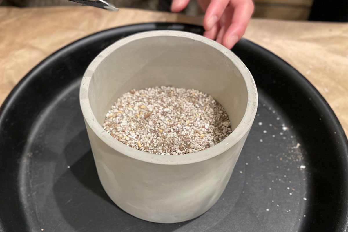 ③その上に、多肉植物用の土を流し入れます。※土の入れすぎに注意