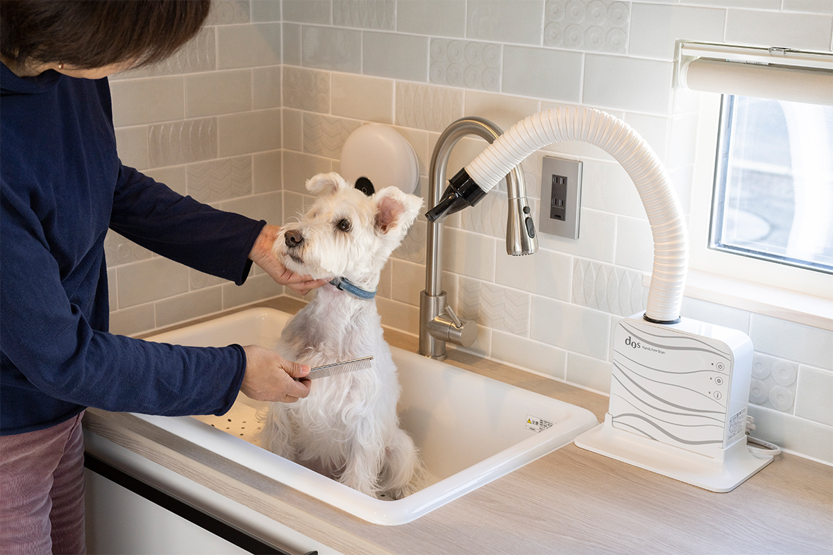玄関のすぐ近くに設けた、愛犬専用の洗面台。置き型のドライヤーも完備