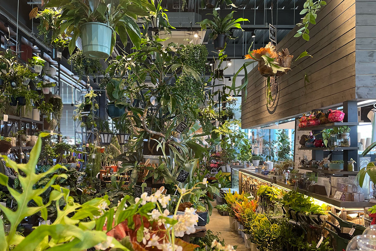 江別市の蔦屋書店内にある「Flower Space Gravel 江別店」