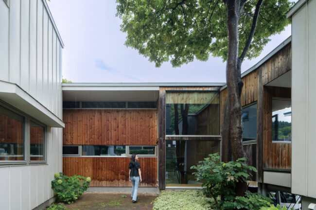 イヌエンジュが見守り続けるコートハウスの12年